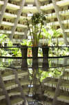Grand Oasis Cancun 